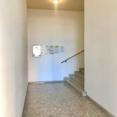 Leda Бибионе